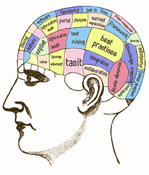 Domain Knowledge