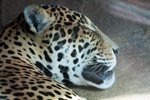 IMG_2317_85