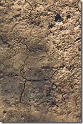 Dry earth
