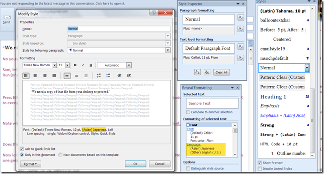 Outlook or Word 2010 Style Language Problem