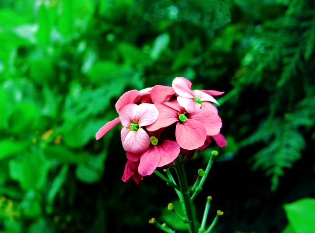 S7301192_thumb