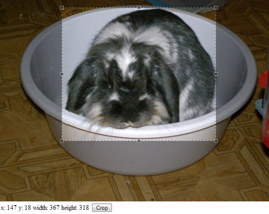 ASP.NET + Jcrop: Selecting cropping area
