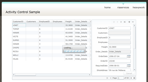 Silverlight Activity Control