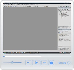 silverlight_resize_video