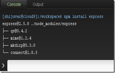 npm_express