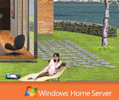 homeServerFlash